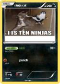 ninja cat