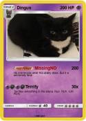 Dingus