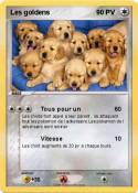 Les goldens