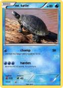 mr. turtle