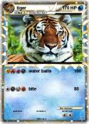 tiger