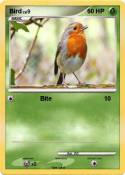 Bird