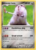 Golvende Cavia