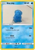 Blue dog