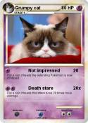 Grumpy cat