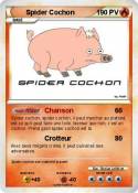 Spider Cochon
