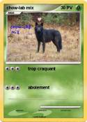 chow-lab mix