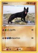 chien