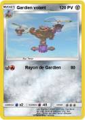 Gardien volant