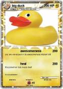 big duck