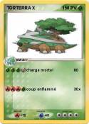 TORTERRA X