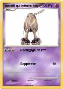 mastiff qui