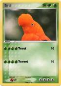 Bird