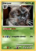 chat-tueur