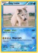 Dog Tristan