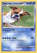 fuuny dog