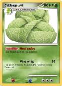 Cabbage