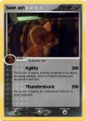bash ash
