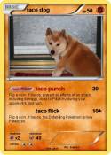 taco dog