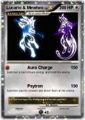 Lucario & Mewtw