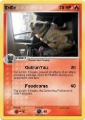 EvEe