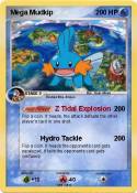 Mega Mudkip