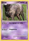 mastiff
