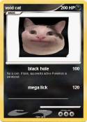 void cat