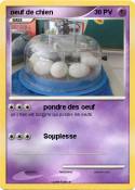oeuf de chien