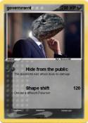 government
