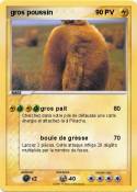 gros poussin