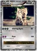 evil cat