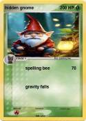 hidden gnome
