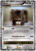 cat ex