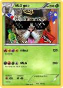 MLG gato
