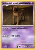 bullmastiff