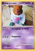 pit-bull en