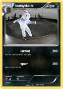 bunnyskater