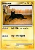 beauceron