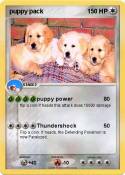 puppy pack