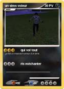 un sims voleur