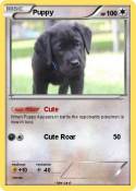Puppy