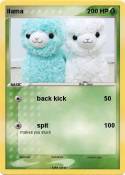 llama