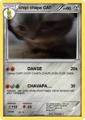 chipi chapa CAT