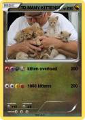 TO MANY KITTENS