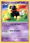 samoyède-rottweiler