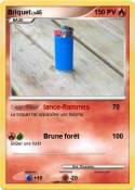 Briquet