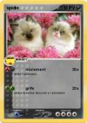 spidie