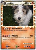 Le chien