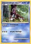 loup-labradinger